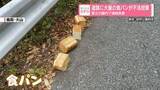 「国立公園内の道路に大量の食パン不法投棄…あわせて39キロ　3日連続で確認も」の画像1