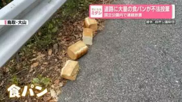 国立公園内の道路に大量の食パン不法投棄…あわせて39キロ　3日連続で確認も
