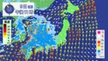 【9日の天気】西日本は強雨や雷雨に注意　関東も夜は傘の出番