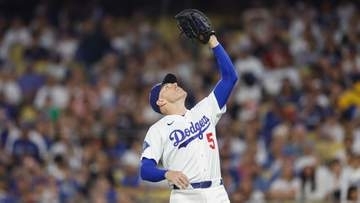 フリーマンにヒヤリ　フライ球を追いかけ階段踏み外し相手ベンチに転落　会場からの「フリーマン」コールの中で復活
