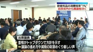 飲食料品“消費税率1％”自民党内から異論相次ぐ　来年4月から2年間