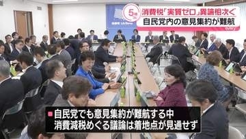 消費税「実質ゼロ」異論相次ぐ　自民党内の意見集約が難航