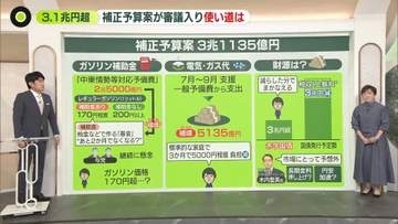 【解説】ガソリン補助金、170円超えも？ 高市首相「柔軟に検討」 3兆円補正予算案を閣議決定