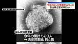 「今年の「はしか」患者数523人、増加ペースやや緩やかに…厚労省「軽視できない」」の画像1