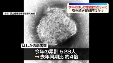 今年の「はしか」患者数523人、増加ペースやや緩やかに…厚労省「軽視できない」