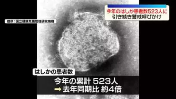 今年の「はしか」患者数523人、増加ペースやや緩やかに…厚労省「軽視できない」