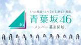 「坂道グループに新しく『青葉坂46』が設立　オーディションを開催　“1年間”の活動後に既存グループへ配属」の画像1