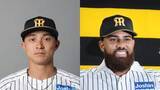 「【阪神】熊谷敬宥とガルシアが打球処理で交錯　肘が顔面に直撃でヒヤリ」の画像1