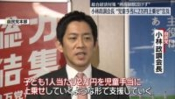 “児童手当に2万円上乗せ”総合経済対策で子育て世帯支援の方向　自民・小林政調会長