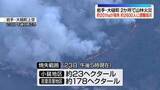「岩手・大槌町の山林火災　鎮圧に至らず…住宅地に火の手迫る」の画像1