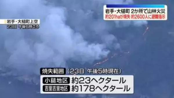 岩手・大槌町の山林火災　鎮圧に至らず…住宅地に火の手迫る