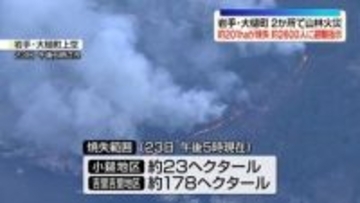 岩手・大槌町の山林火災　鎮圧に至らず…住宅地に火の手迫る