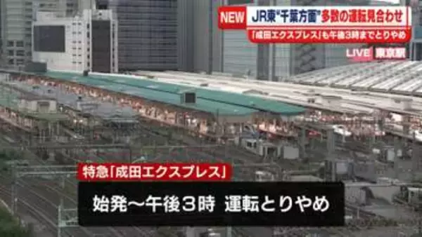 【交通の影響】JR東日本“千葉方面”多くの路線で運転見合わせ　「成田エクスプレス」も午後3時までとりやめ　千葉大雨