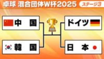 卓球混合団体W杯の4強そろう　中国は唯一全勝で韓国と準決勝　2位通過の日本はドイツと激突