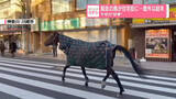 「脱走の馬が住宅街に…意外な結末　午年の“珍事”」の画像1