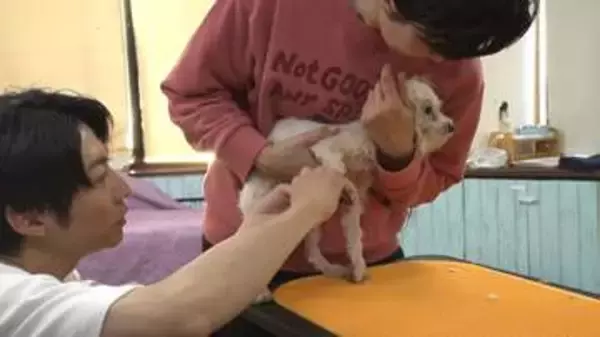 相葉雅紀、72匹の犬が取り残された繁殖業者の崩壊現場へ　サンシャイン池崎は新たな猫と生活開始