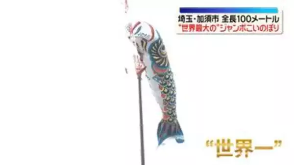 全長100メートル“世界最大”のジャンボこいのぼり　多くの人でにぎわい　埼玉・加須市