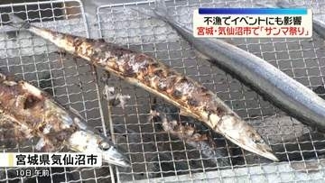 宮城・気仙沼市で恒例のサンマ祭り　不漁影響…去年の冷凍で代用も