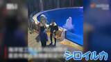 「動物園で飼育員を襲うクマ　水族館ではたばこを吸う男性にイルカが…　中国【 #世界のミダシ 】」の画像1