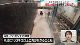 「【解説】「8センチ」が示す“切迫の可能性”…超巨大地震の最新研究、津波から身を守るには？【あす大災害、だとしたら？】」の画像1