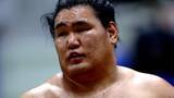「【大相撲】横審稽古総見　横綱・豊昇龍ファンのため「しっかりやっている姿を」精力的に17番　夏場所へ向け100％の状態まで「もうちょい」」の画像1