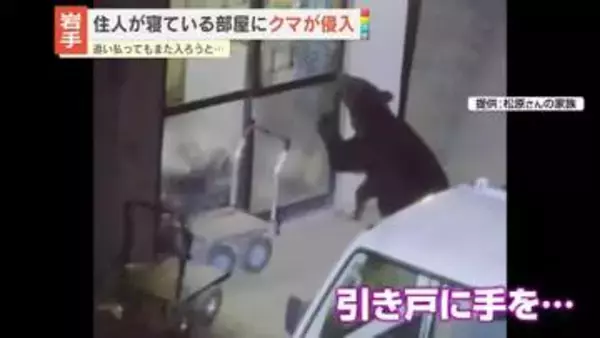 住人寝ている部屋にクマ侵入　追い払ってもまた入ろうと…　岩手・雫石町