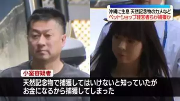 沖縄に生息「天然記念物」のカメやトカゲ捕獲か　ペットショップの経営者ら逮捕