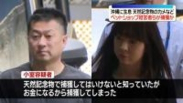 沖縄に生息「天然記念物」のカメやトカゲ捕獲か　ペットショップの経営者ら逮捕