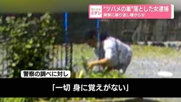 ツバメの巣落とし…花壇の花“切断”も　隣家に繰り返し嫌がらせか　55歳の女を逮捕