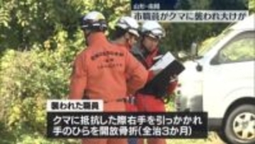 クマに襲われ…市職員が大けが　山形・南陽市