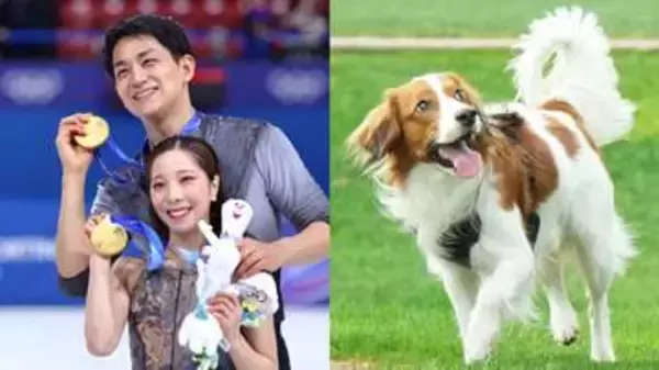 りくりゅうも知っていたデコピンの失態　あるアイテムですぐにデコピンの姿浮かぶ「ボロボロにしてた･･･」