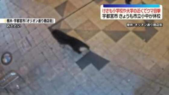小学校や大学の近く…宇都宮市でけさもクマ目撃　きょうも市立小中が休校