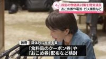 おこめ券など政府の物価高対策めぐり野党が追及強める
