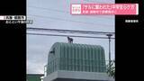 「「サルに襲われた」中学生らケガ　兵庫・姫路市で目撃相次ぐ」の画像1