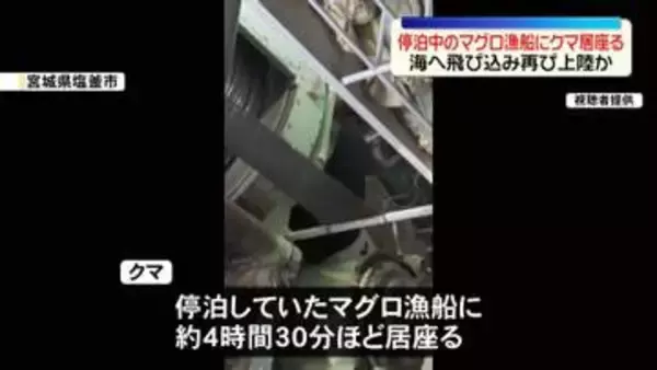 クマが停泊中のマグロ漁船に居座る　海へ飛び込み再び上陸か　宮城・塩釜市