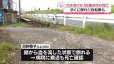 「車にひかれたか…路上で女性倒れ見つかる　死亡ひき逃げ事件として捜査　神奈川・川崎市」の画像1