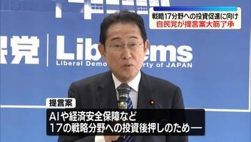 自民・日本成長戦略本部　戦略17分野の投資促進へ　提言案大筋了承