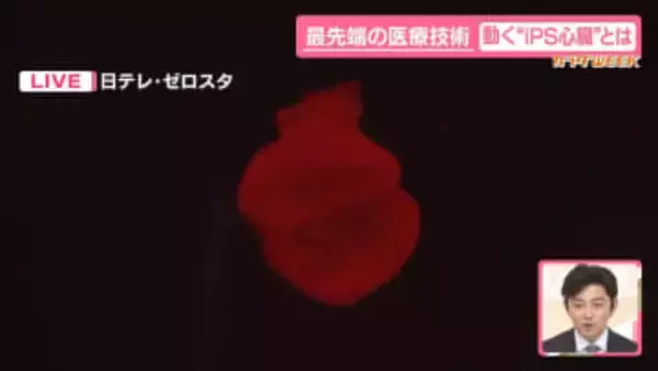 【カラダWEEK】最先端技術！動く“iPS心臓”重症患者治療に期待　万博でも話題に　無料で一般公開中