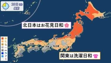 昼間は暑い　北日本はお花見日和
