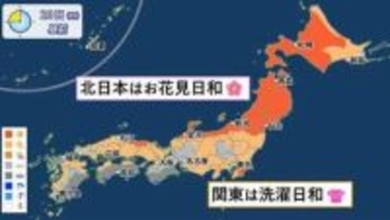 昼間は暑い　北日本はお花見日和