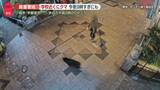 「宇都宮の中心部でクマ出没「どうすればいいのかわからない」　“エサが目的ではない”専門家は指摘」の画像1