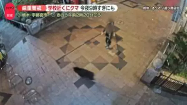 宇都宮の中心部でクマ出没「どうすればいいのかわからない」　“エサが目的ではない”専門家は指摘