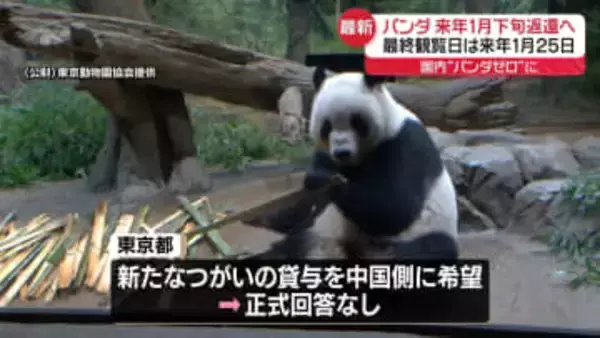 上野動物園の双子パンダ、来年1月中に中国に返還へ　最終観覧日は1月25日　東京都