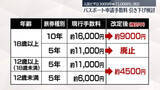 「パスポート申請手数料「18歳以上は10年用で9000円」に引き下げ検討」の画像1