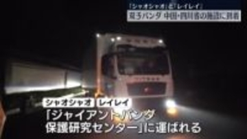 双子パンダ、中国・四川省の施設に到着