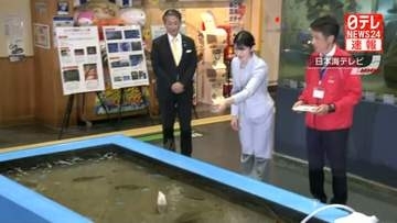 【速報】愛子さま鳥取で「松葉ガニ」など展示する水族館訪問 “ヒラメの餌やり”も体験　鳥取県訪問最終日