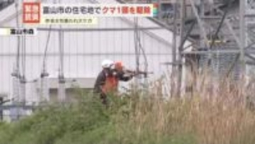 富山市住宅街で緊急銃猟、クマ1頭を駆除　付近で昨夜、女性が襲われ大けが