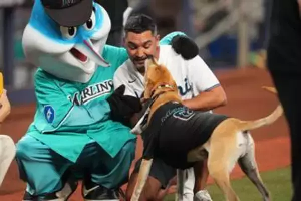 【犬を愛するMLB】ホットドッグを食べる犬に羨望のまなざしで話題の「JONAH」が始球式へ　公式SNSにはこれまでもデコピンが度々登場
