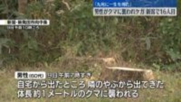 民家敷地内でクマに襲われ…男性ケガ　命に別条なし　新潟・新発田市