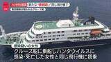 「ハンタウイルス、新たな“感染疑い”スペイン当局」の画像1
